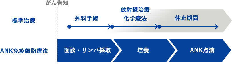 治療のスケジュール例